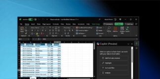 Microsoft Excel with Copilot